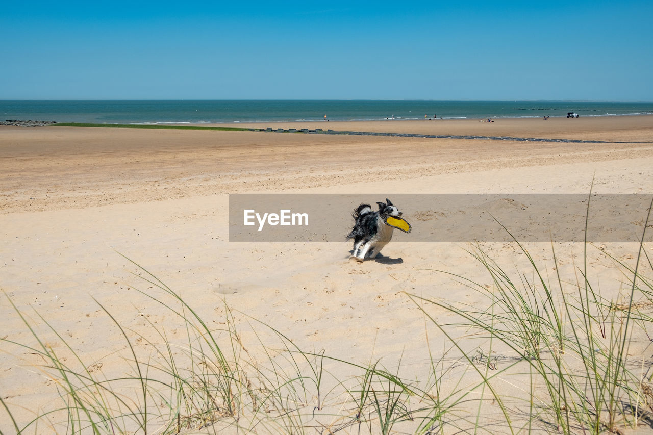 MAN ON BEACH