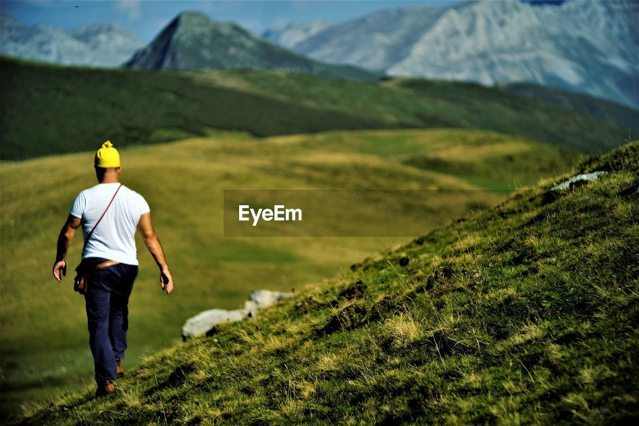 Rear view of man walking on landscape