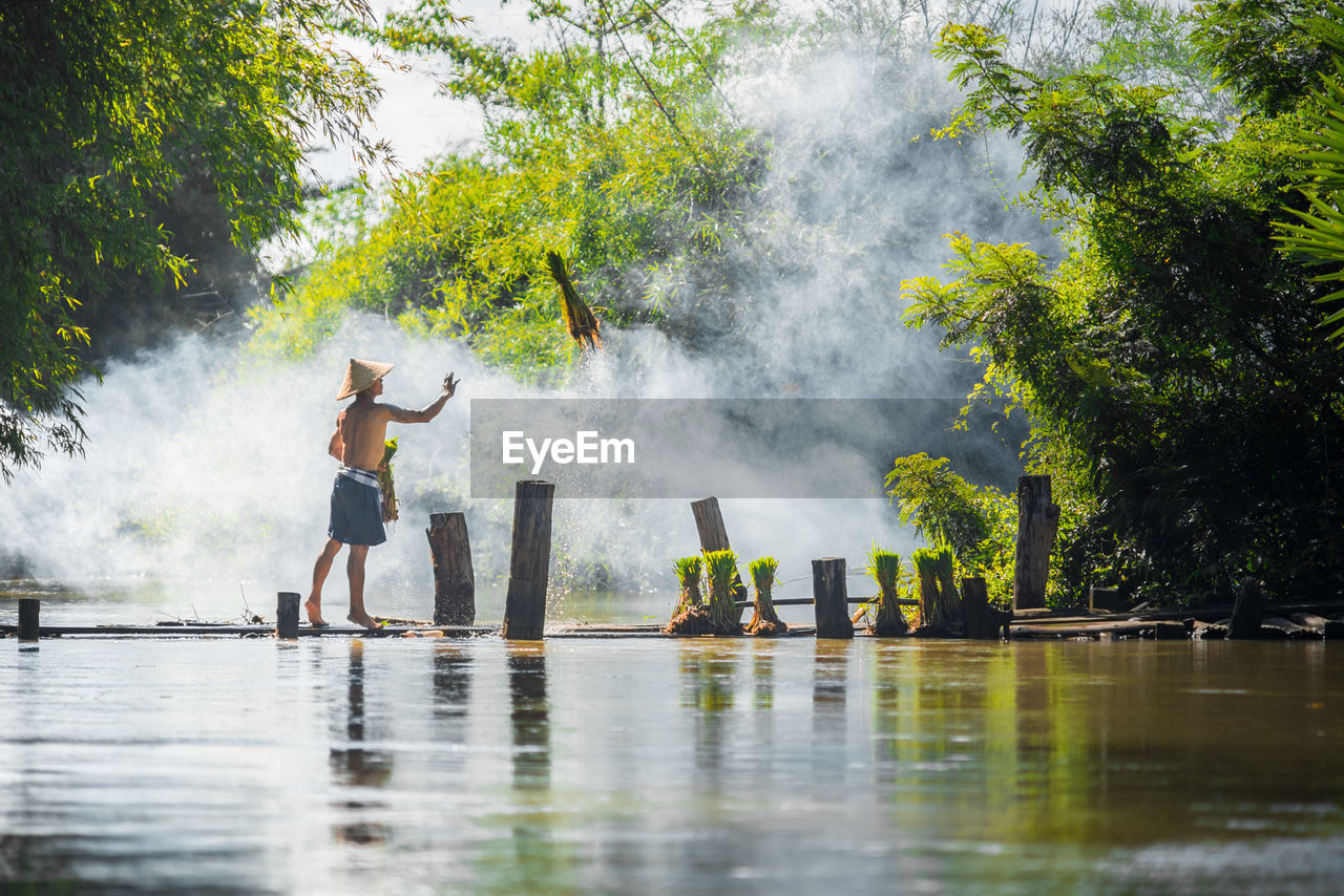 Farmer throwing grass while standing on pier over lake