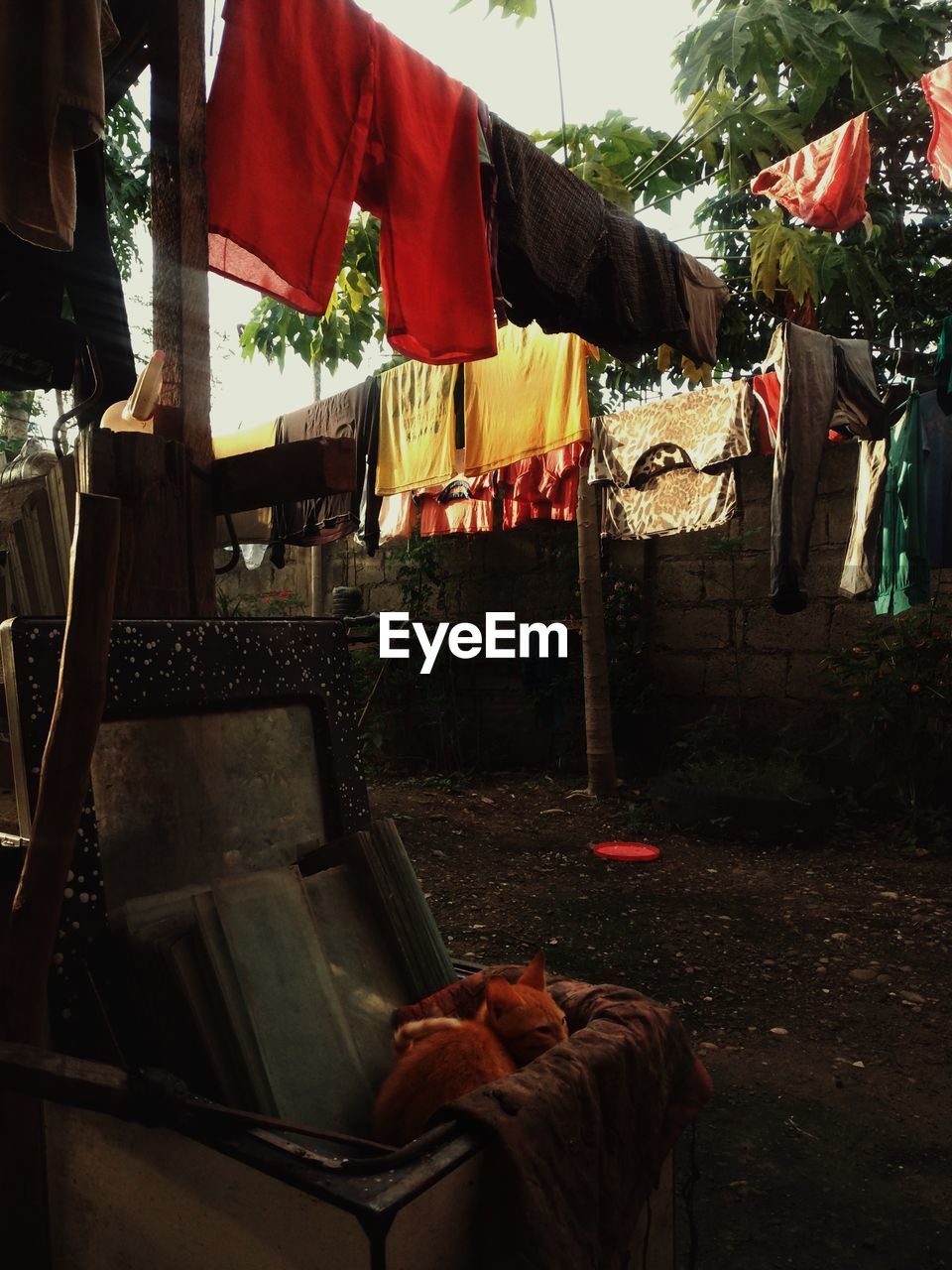 PEOPLE STANDING IN MARKET STALL