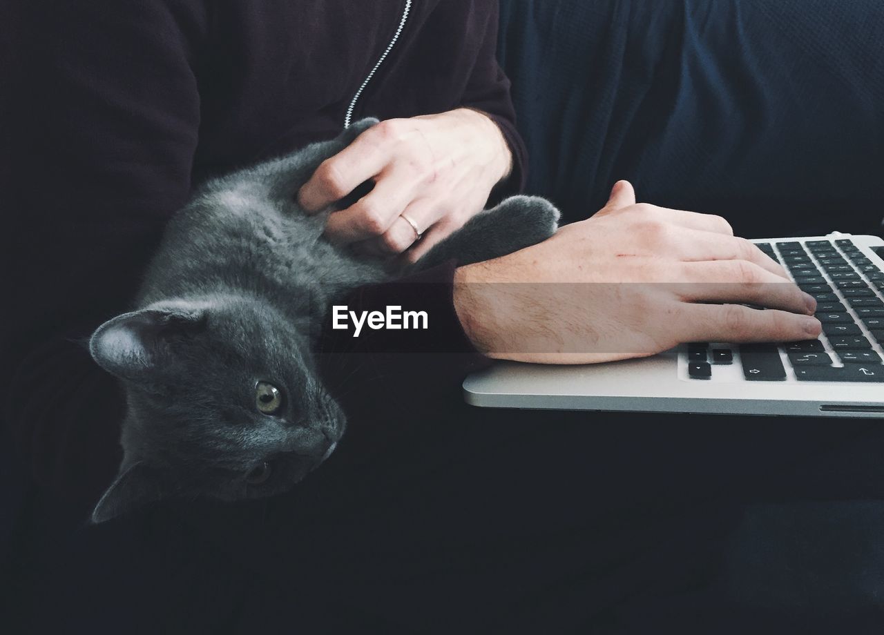 Close-up of cat lying on man working on laptop