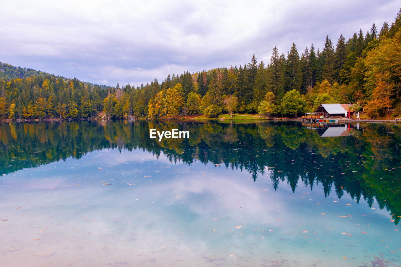 REFLECTION OF TREES IN LAKE AGAINST SKY