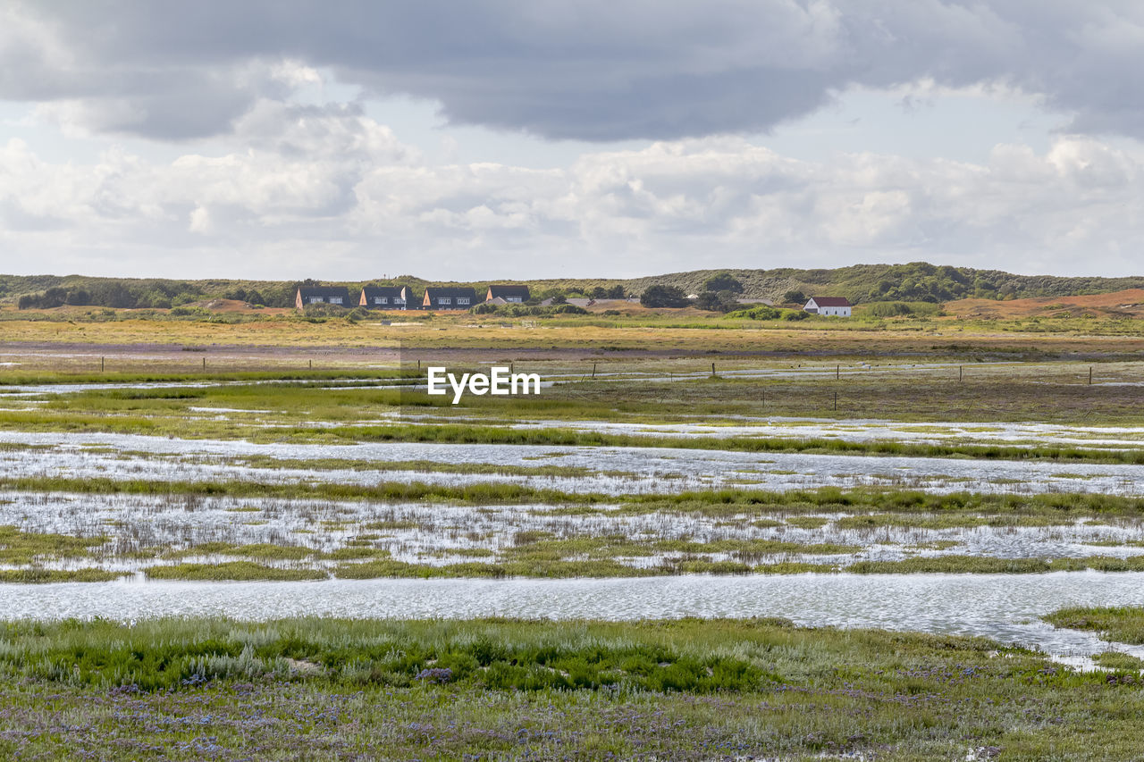 SCENIC VIEW OF GRASSY FIELD AGAINST SKY