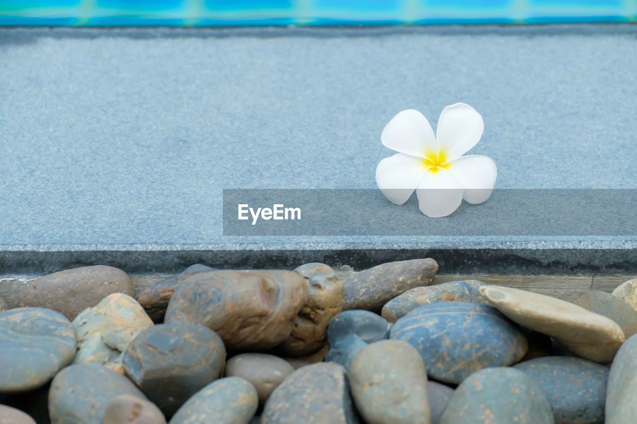 Close-up of pebbles on rock