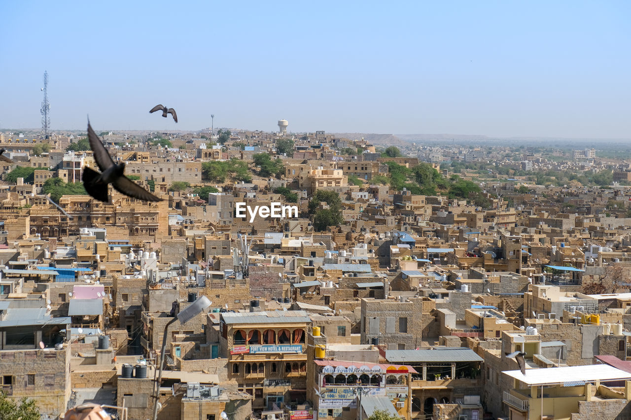 Panoramic view of bird flying against cityscape of the golden city of jaisalmer, india