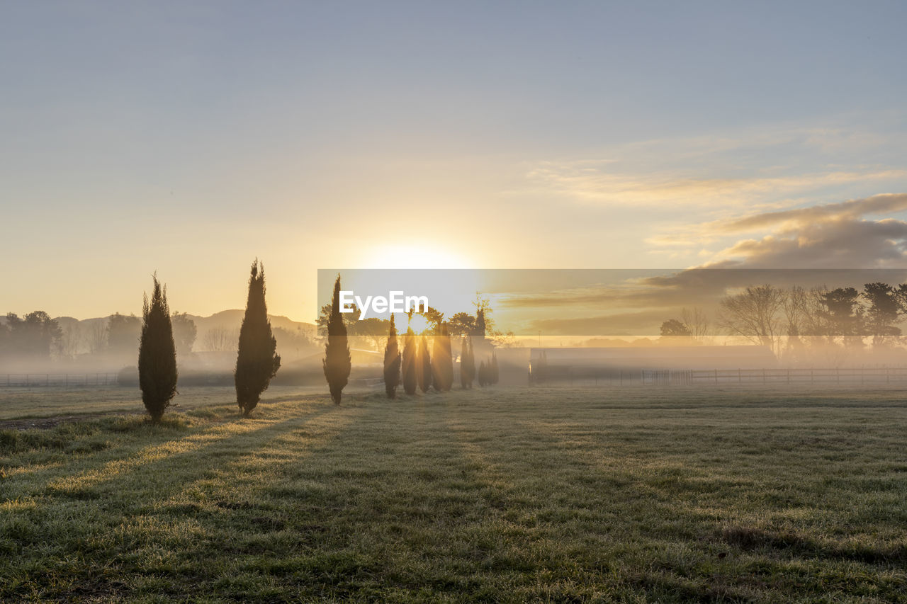 horizon, sky, morning, sunrise, dawn, environment, nature, landscape, sun, sunlight, land, fog, plant, beauty in nature, mist, scenics - nature, grass, tree, cloud, travel, twilight, sea, tranquility, water, travel destinations, field, back lit, rural scene, sunbeam, silhouette, outdoors, tranquil scene, copy space, lens flare, tourism, idyllic, no people, animal, hill