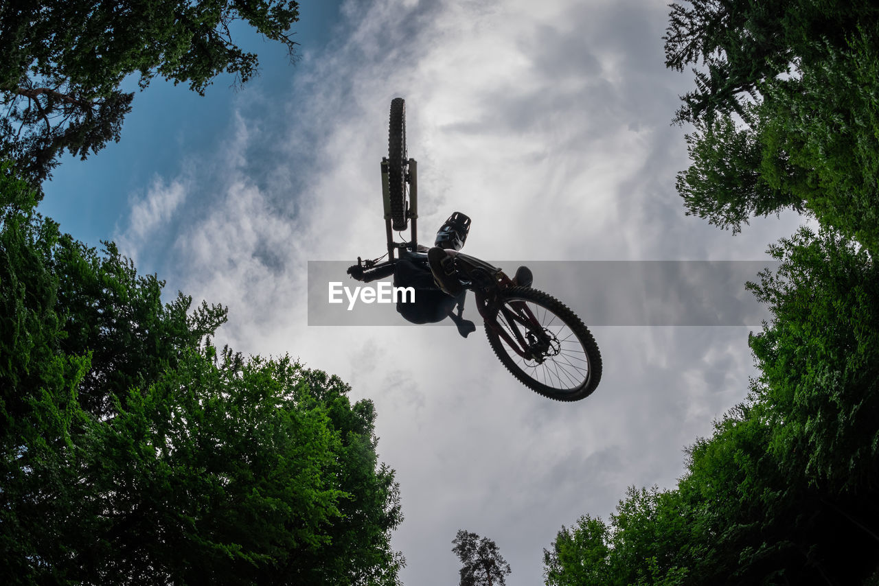 low angle view of bicycle on tree against sky
