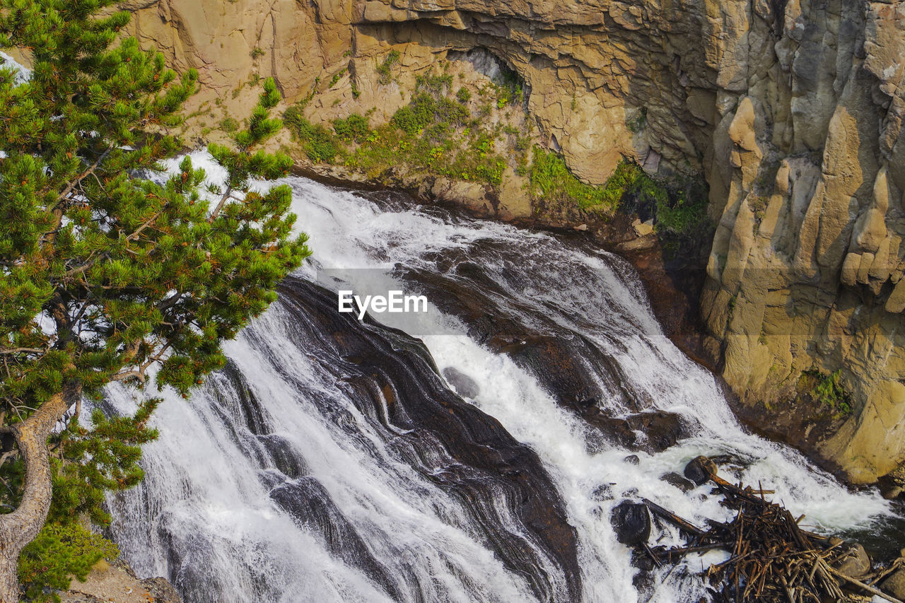 Scenic view of waterfall in forest