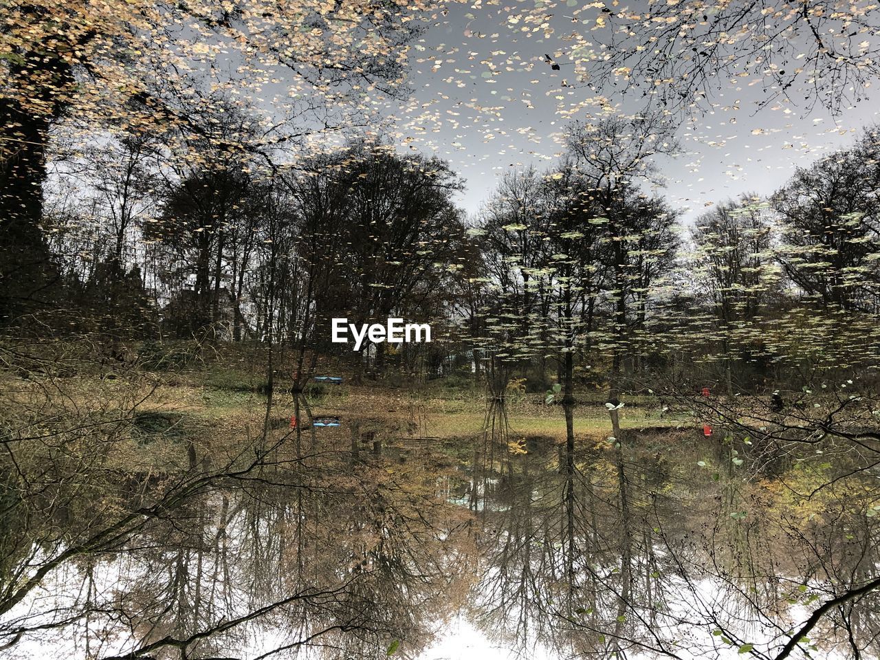 REFLECTION OF TREES IN LAKE AGAINST SKY IN FOREST