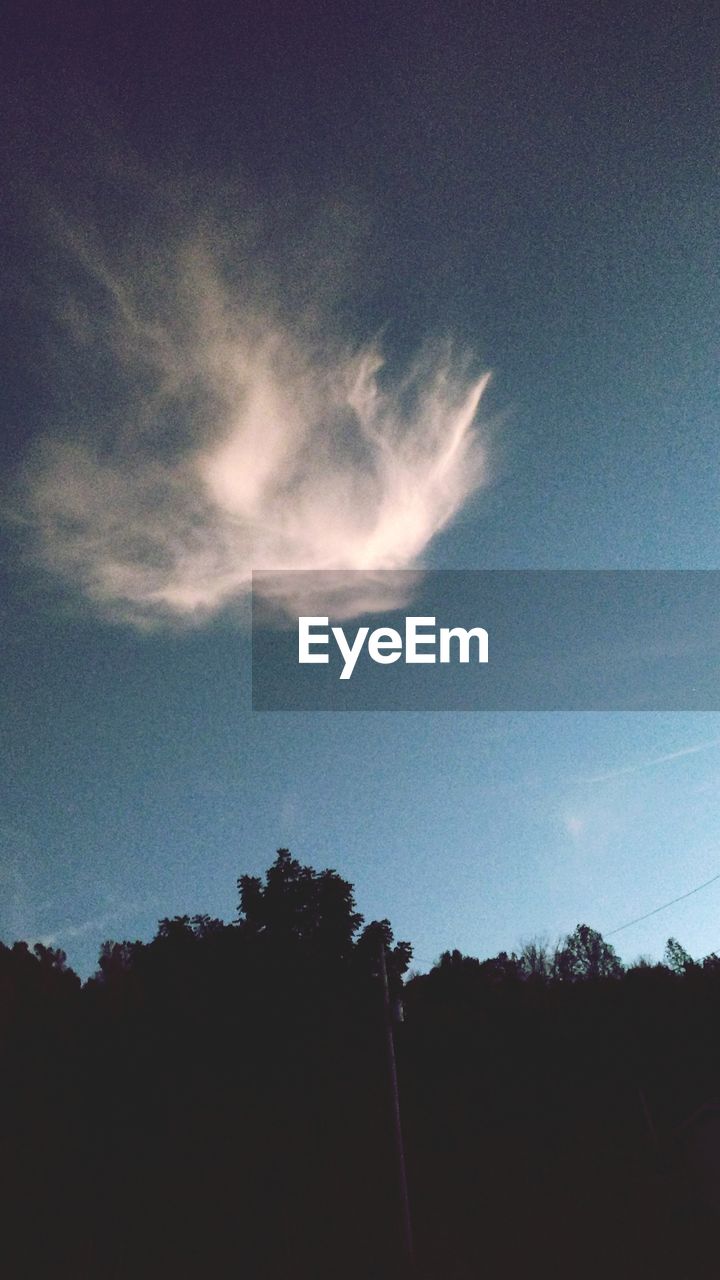 LOW ANGLE VIEW OF SILHOUETTE TREES AGAINST BLUE SKY AT SUNSET