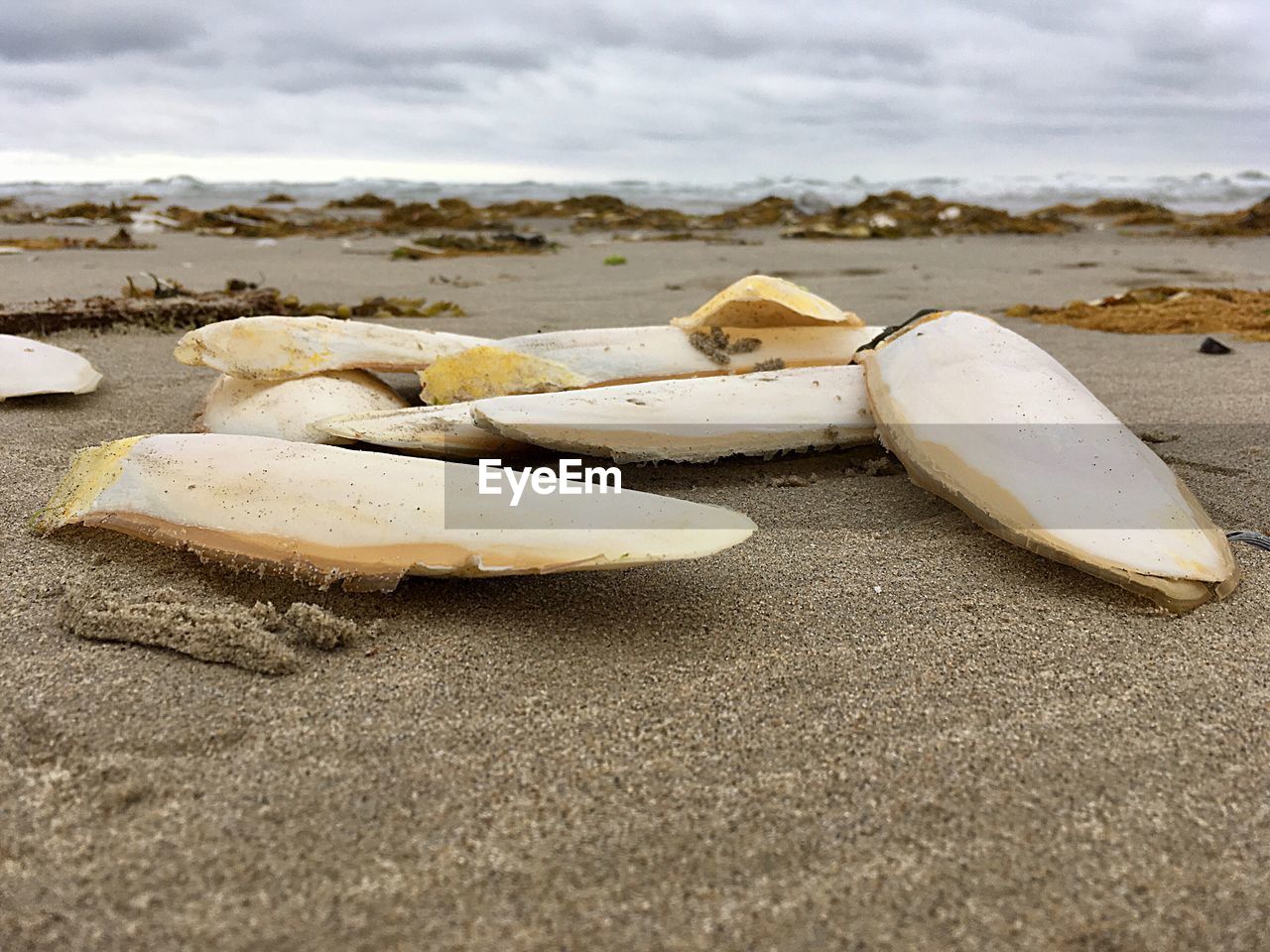 Surface level of sand on beach