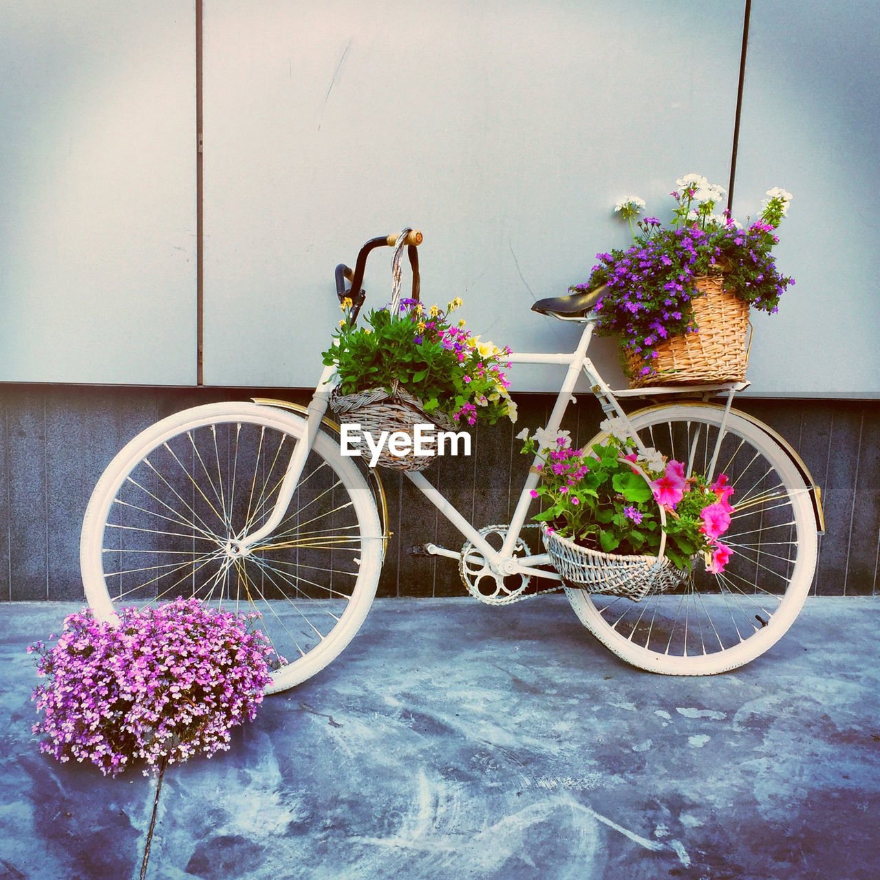 Flower baskets on bicycle