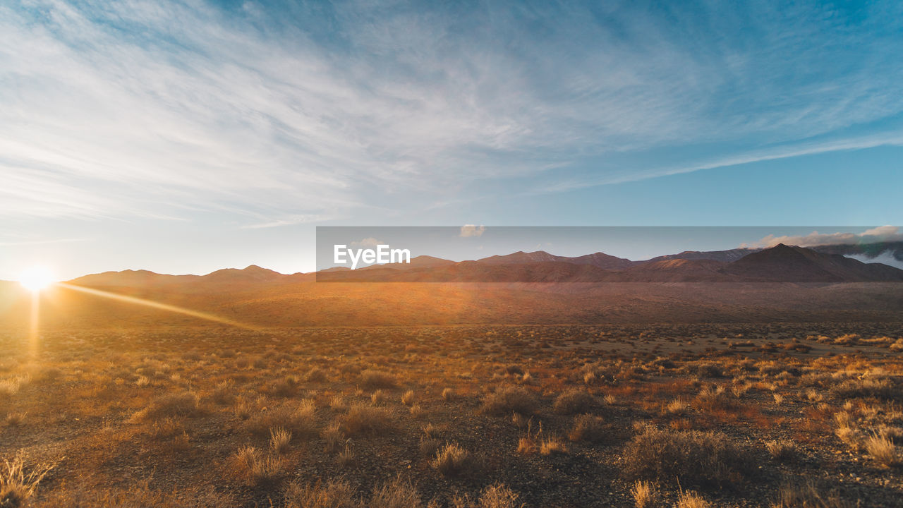 Scenic view of field against bright sun