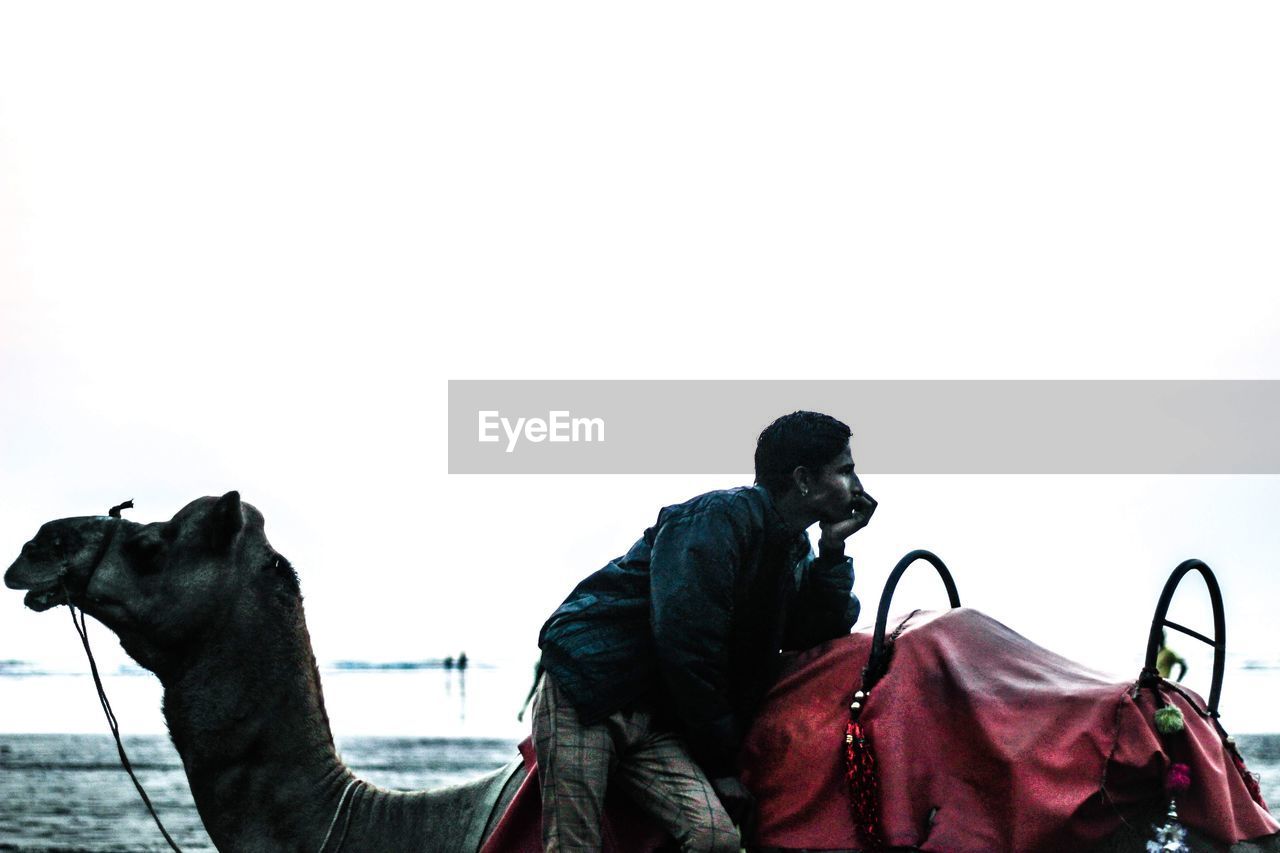 PANORAMIC VIEW OF PEOPLE RIDING ON SHORE AGAINST CLEAR SKY