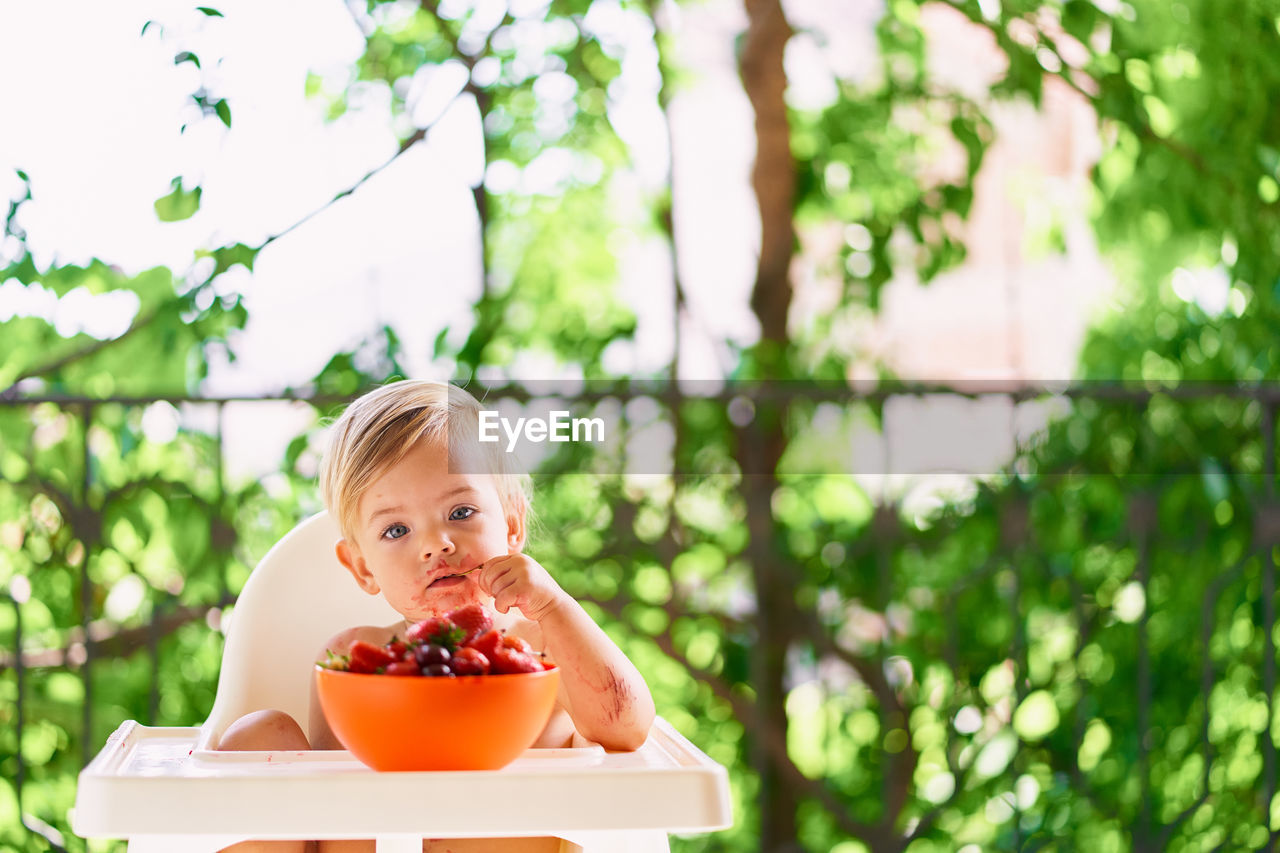 Baby girl sitting while eating strawberry at home