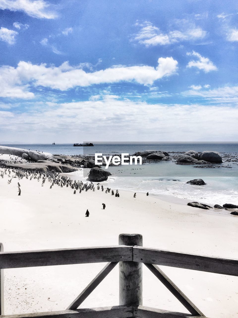 High angle view of people on calm beach