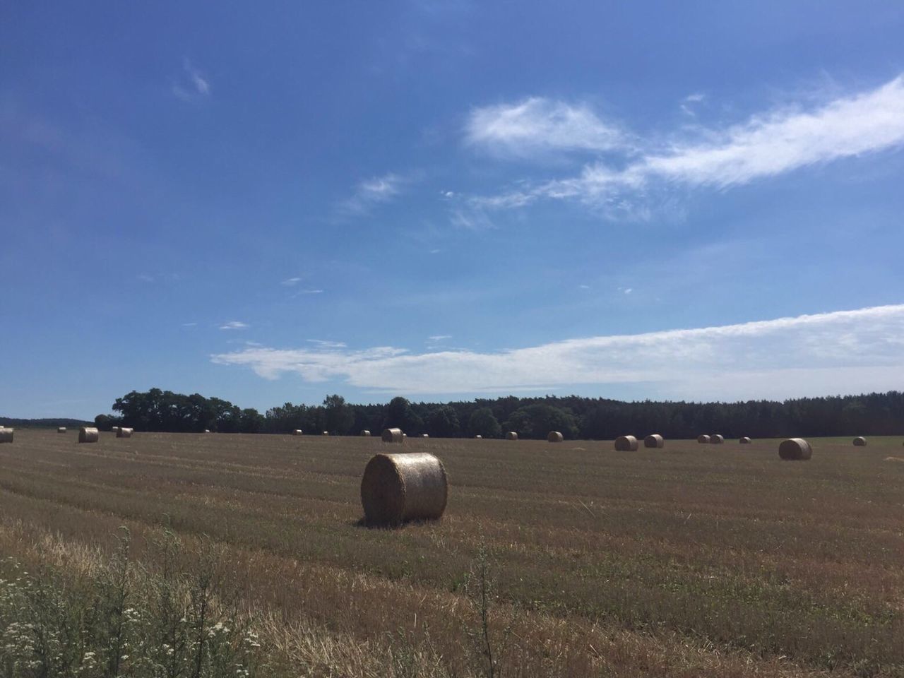 Hay bales on field against blue sky