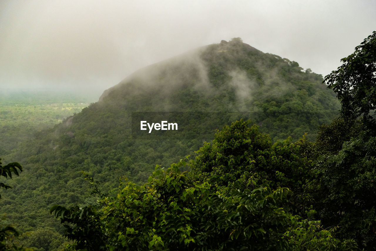 SCENIC VIEW OF MOUNTAIN AGAINST SKY