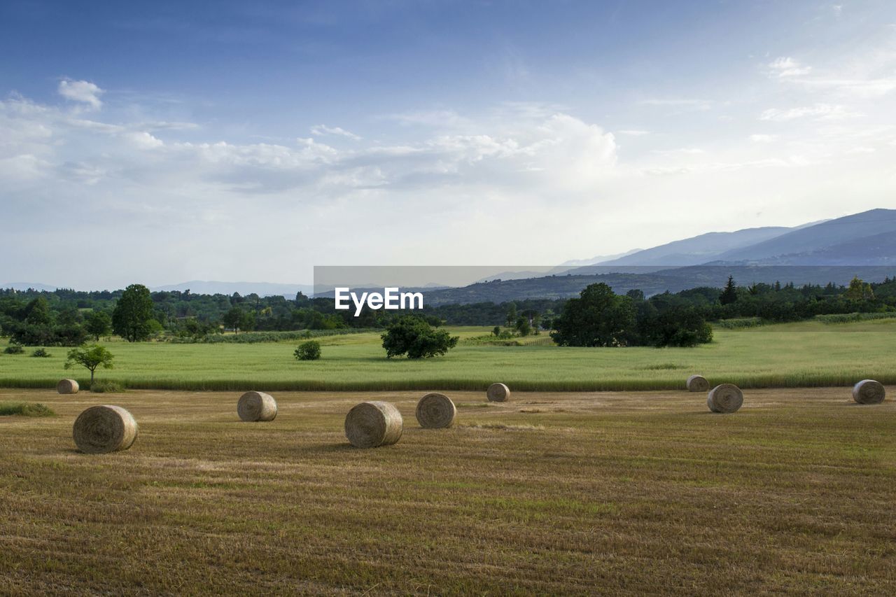 View of hay bales on field against cloudy sky