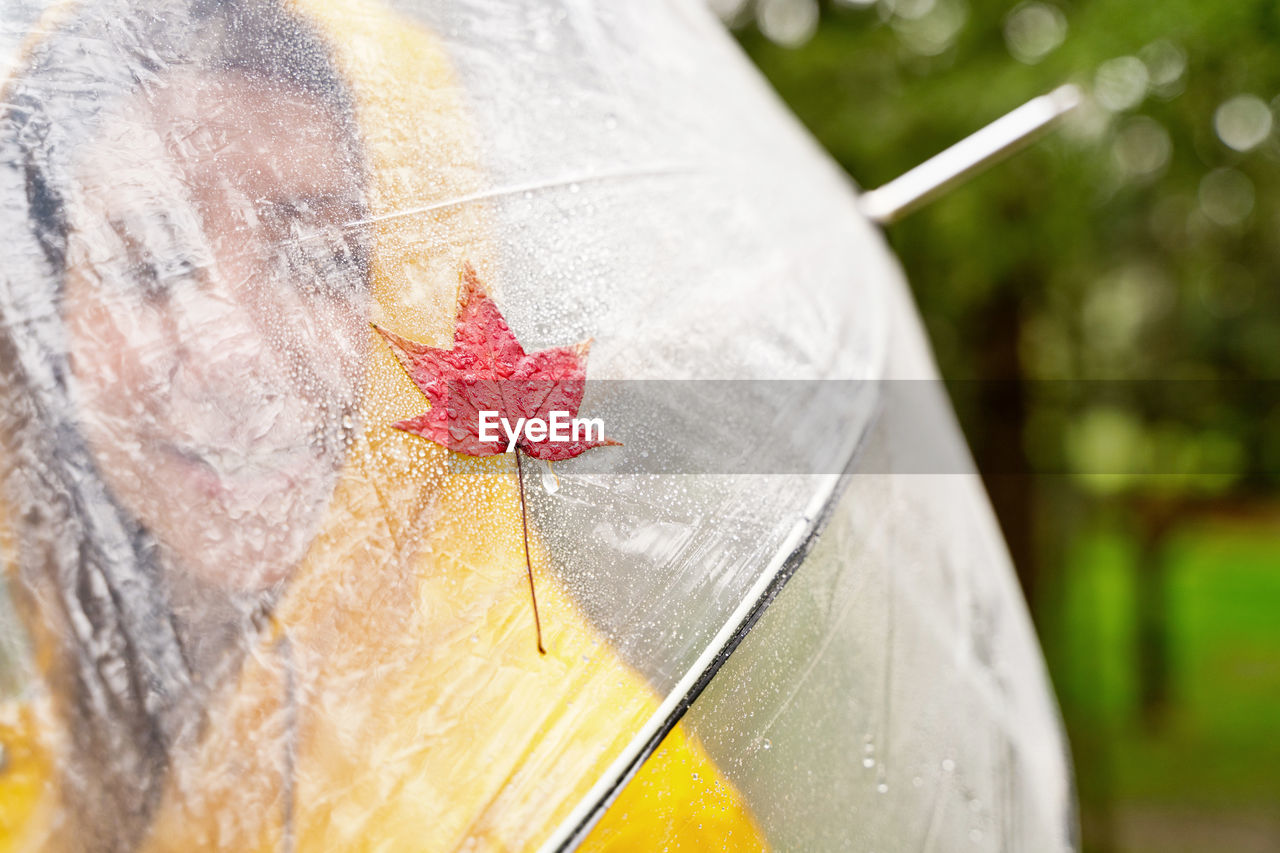 cropped image of red umbrella