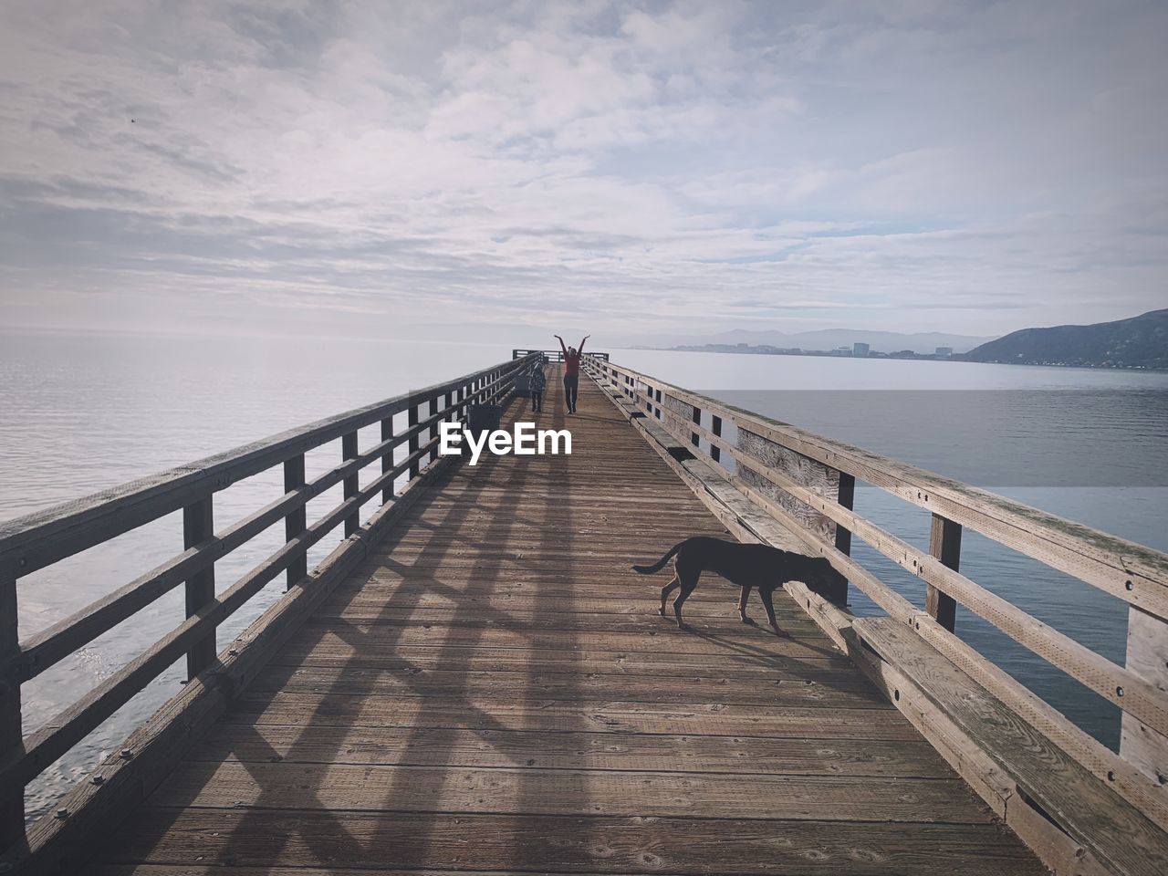 VIEW OF DOG ON PIER AT SEA AGAINST SKY