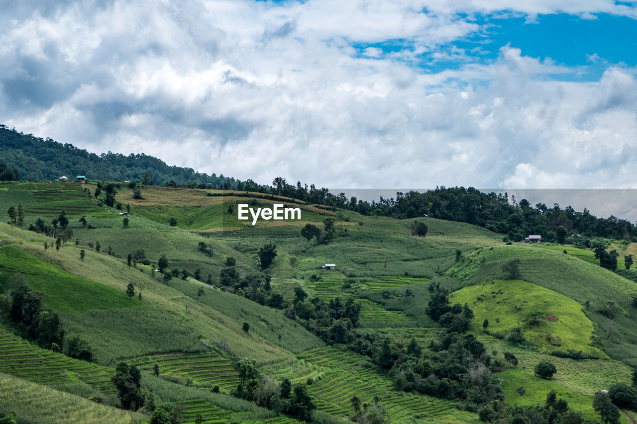 SCENIC VIEW OF FARM AGAINST SKY