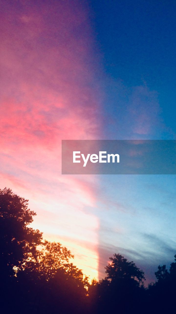 LOW ANGLE VIEW OF SILHOUETTE TREES AGAINST SUNSET SKY