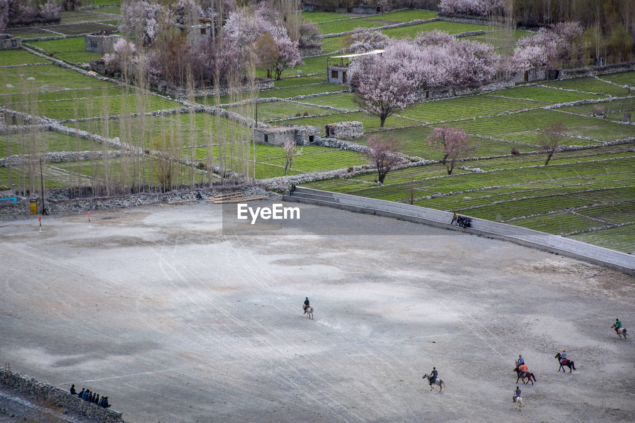 High angle view of people riding horse on field