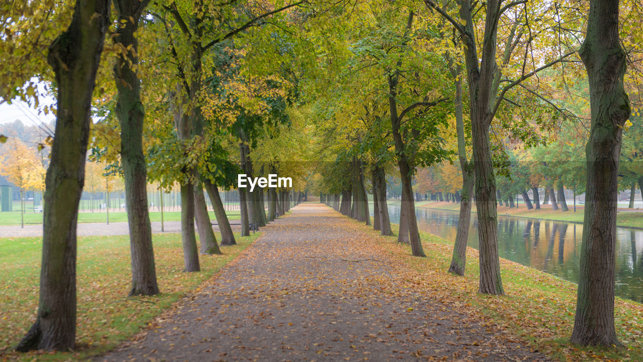 Footpath amidst trees in park during autumn