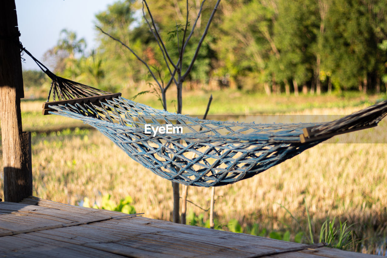 hammock, plant, nature, wood, tree, no people, day, tranquility, beauty in nature, outdoors, focus on foreground, relaxation, summer, sunlight, tranquil scene, land, empty, absence, seat