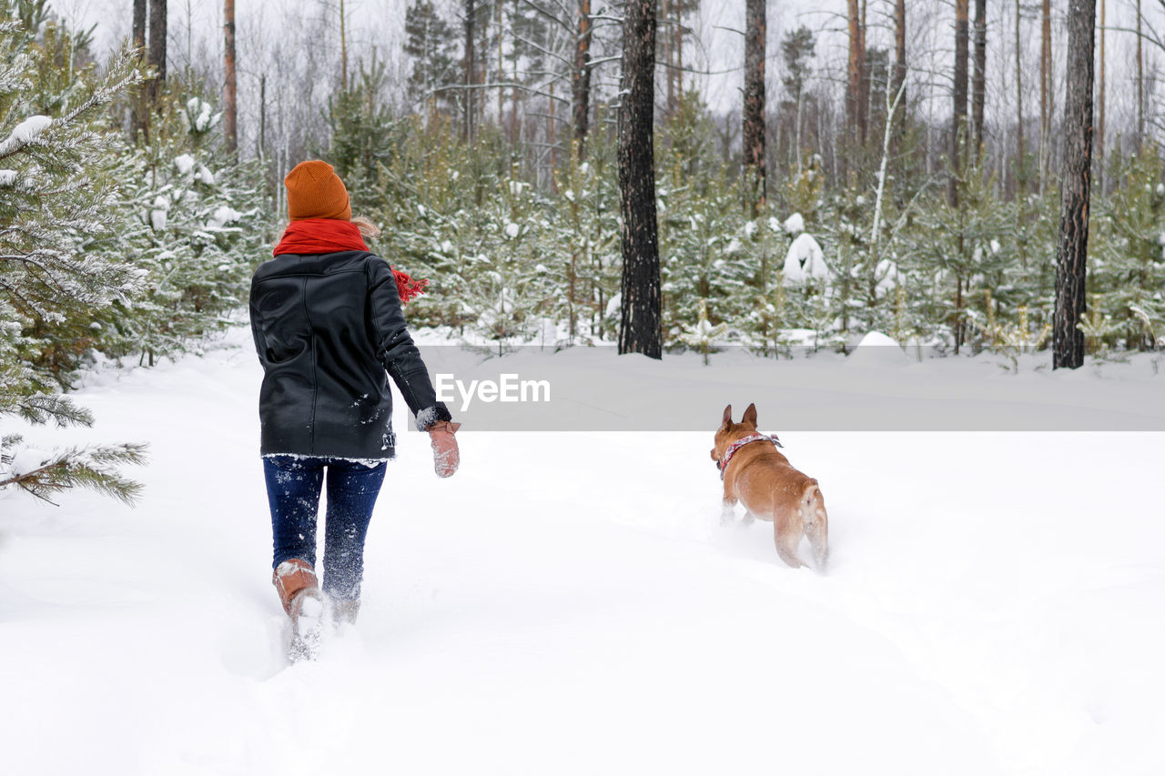 Young woman is playing with her dog on a walk in winter coniferous forest. back view