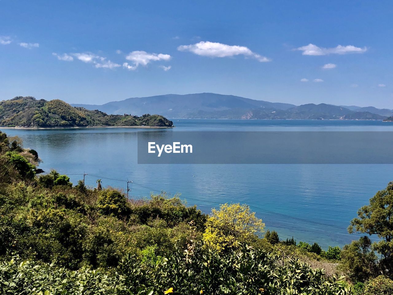 SCENIC VIEW OF SEA AND TREES AGAINST SKY