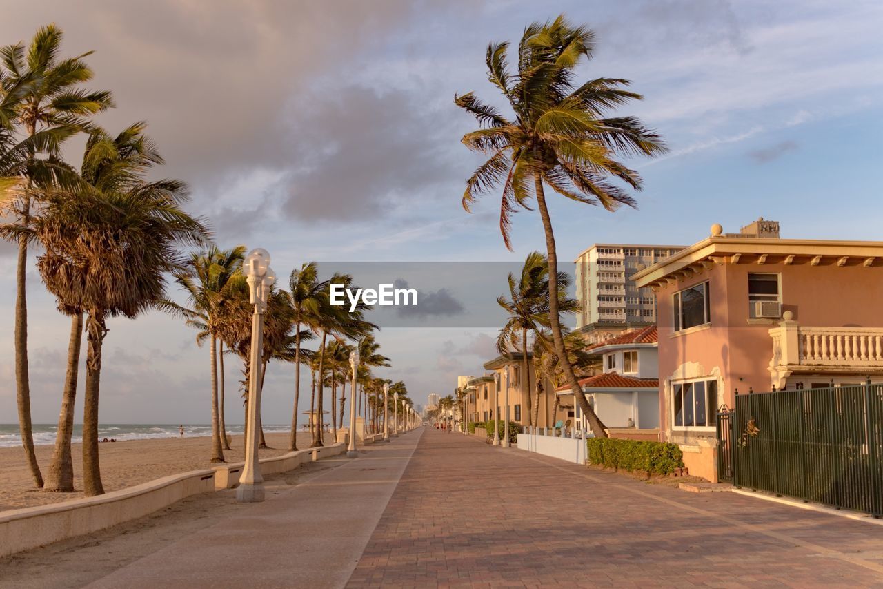 Palm trees at beach against sky