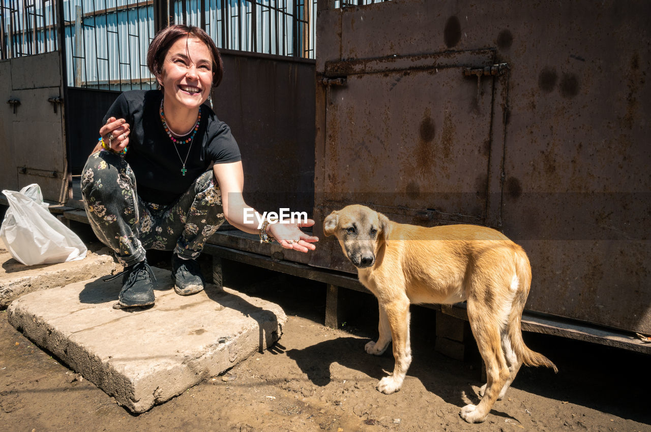 Dog at the shelter. animal shelter volunteer takes care of dogs. 