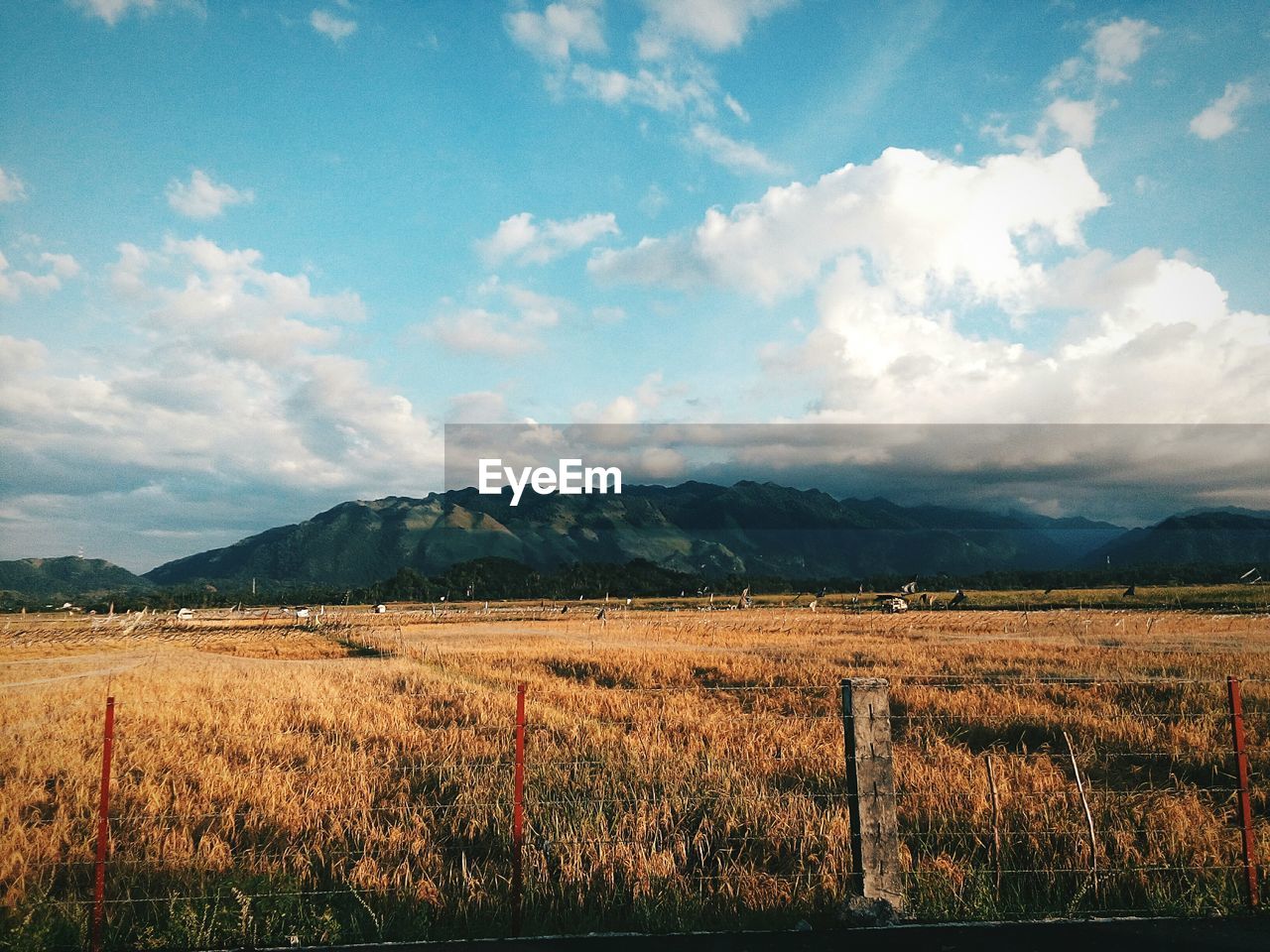 SCENIC VIEW OF FARM AGAINST SKY