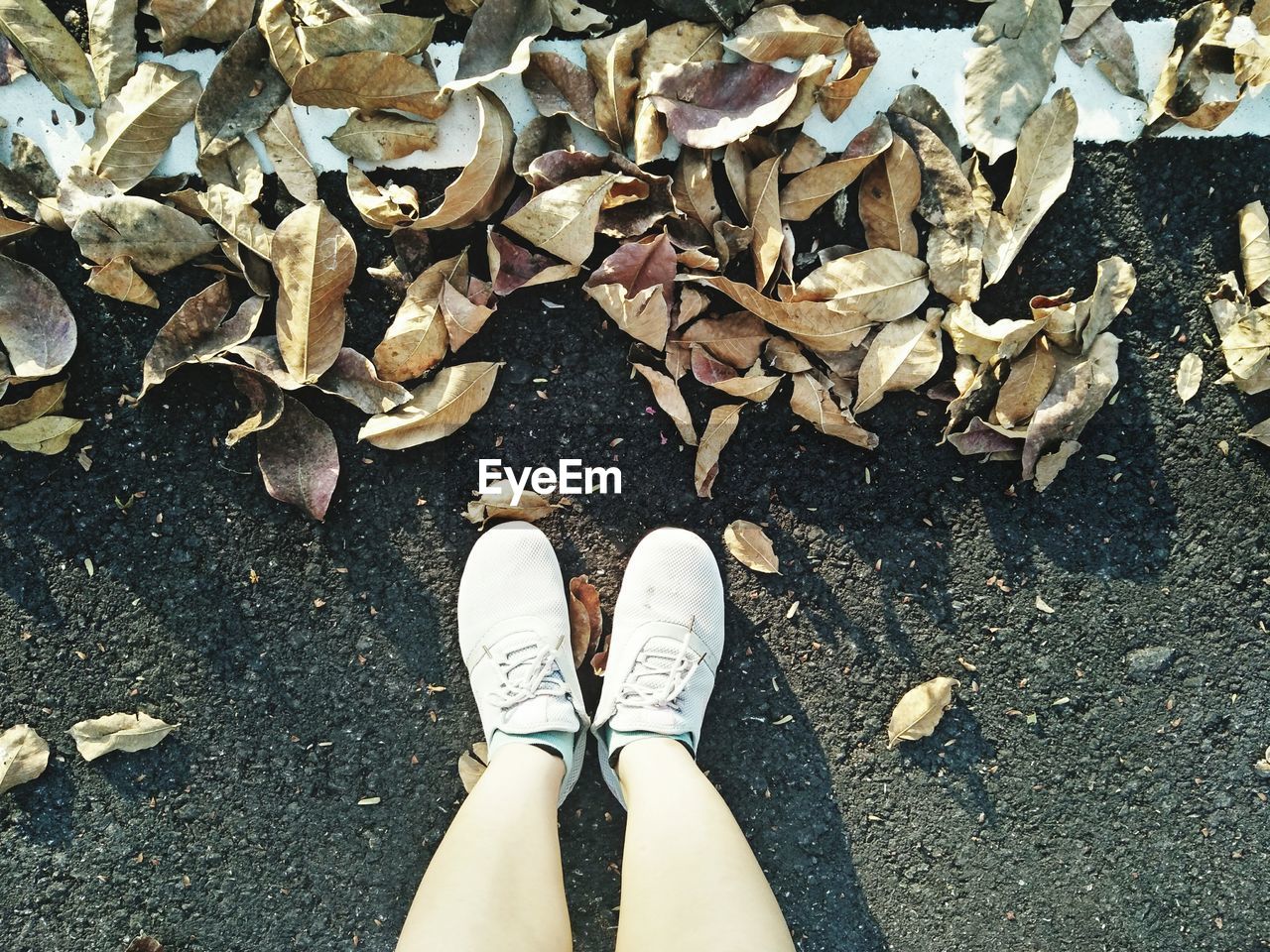 LOW SECTION OF PERSON STANDING BY AUTUMN LEAVES