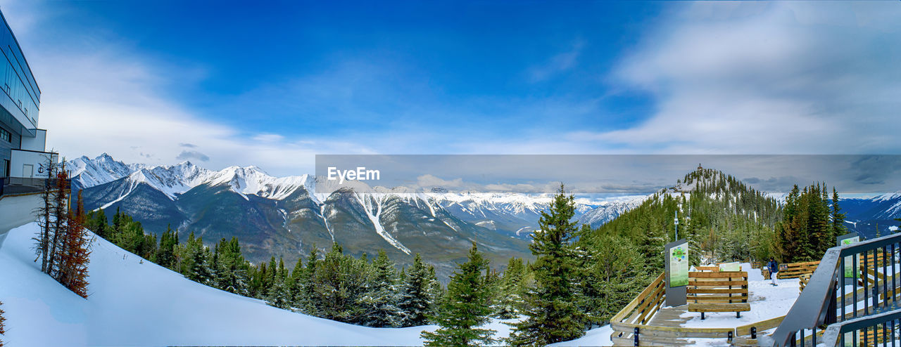 PANORAMIC VIEW OF TREES ON SNOWCAPPED MOUNTAINS AGAINST SKY