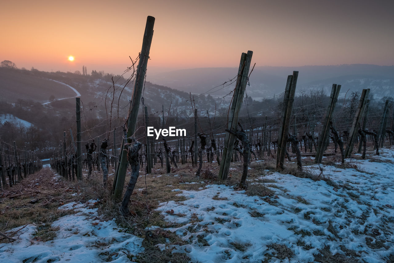 SCENIC VIEW OF SNOW COVERED LANDSCAPE