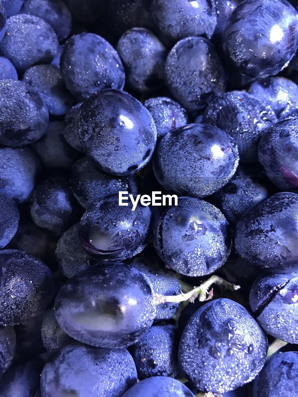 FULL FRAME SHOT OF FRESH BLUE GRAPES