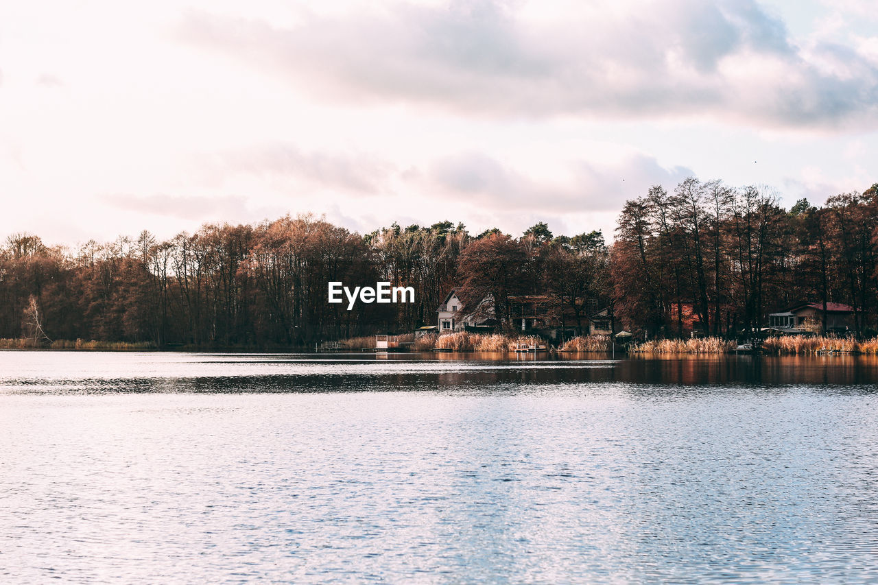 Scenic view of lake by trees against sky