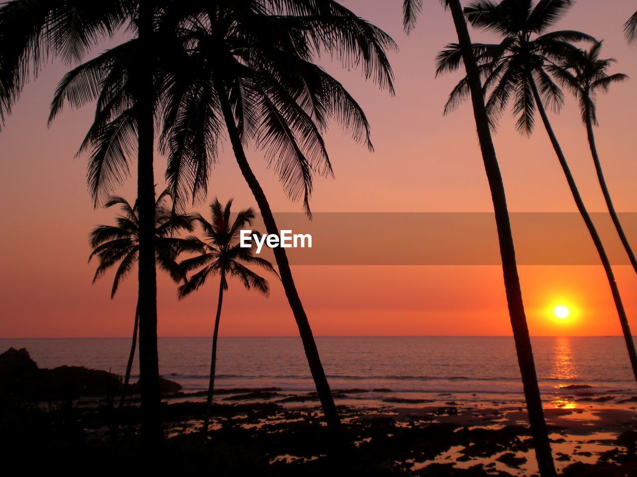 Silhouette palm trees on beach against sky during sunset