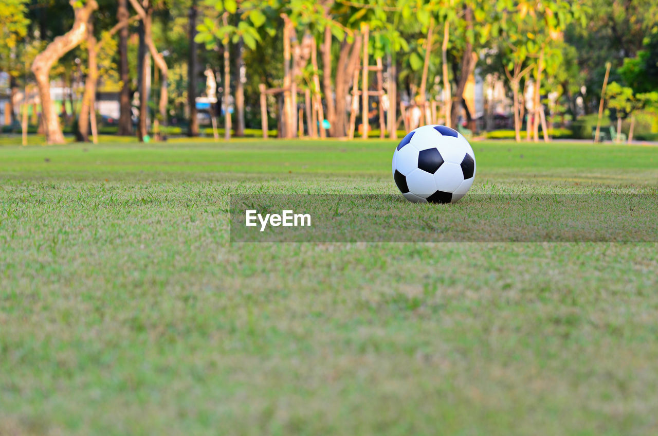 Soccer ball on field