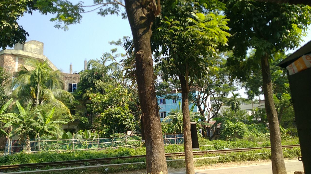 tree, plant, architecture, garden, nature, built structure, neighbourhood, building exterior, estate, city, park, growth, no people, day, sky, building, green, outdoors, travel destinations, travel, sunlight, street, flower, history, urban area