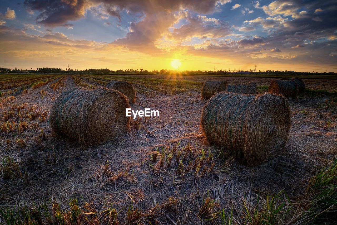 Hay bales on field against sky during sunset