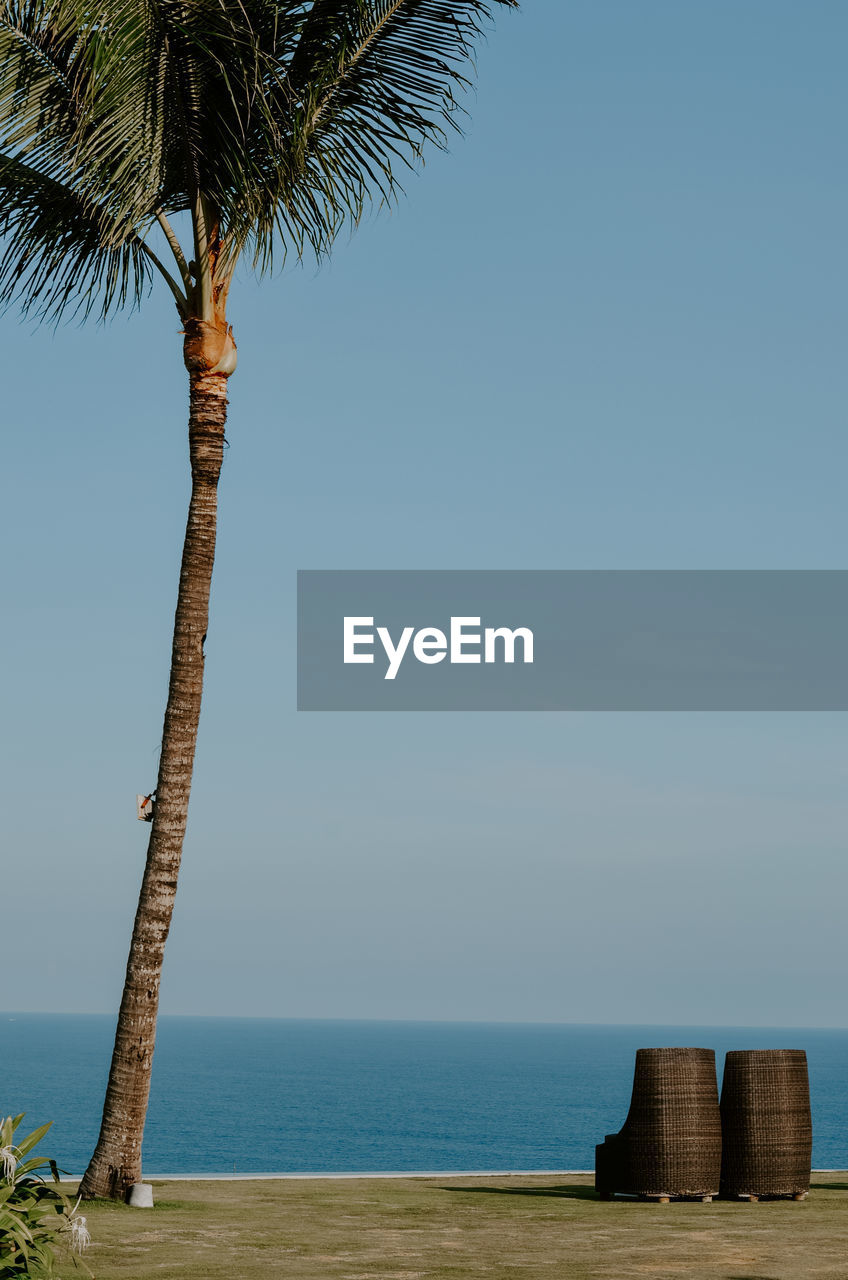 sea, palm tree, tropical climate, water, beach, tree, sky, land, nature, horizon over water, beauty in nature, plant, tranquility, scenics - nature, horizon, tranquil scene, ocean, no people, coconut palm tree, travel destinations, holiday, idyllic, vacation, trip, blue, outdoors, coast, day, travel, clear sky, tropical tree, body of water, copy space, architecture, sand, shore, tourist resort, tree trunk, island, palm leaf, trunk, tourism, seascape, summer, hut