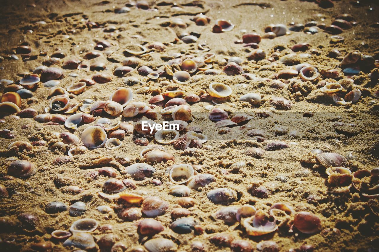 DETAIL SHOT OF PEBBLES ON SAND