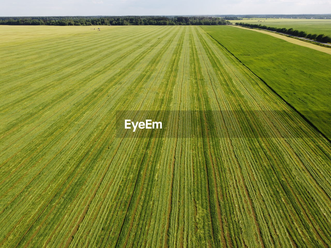SCENIC VIEW OF FARM