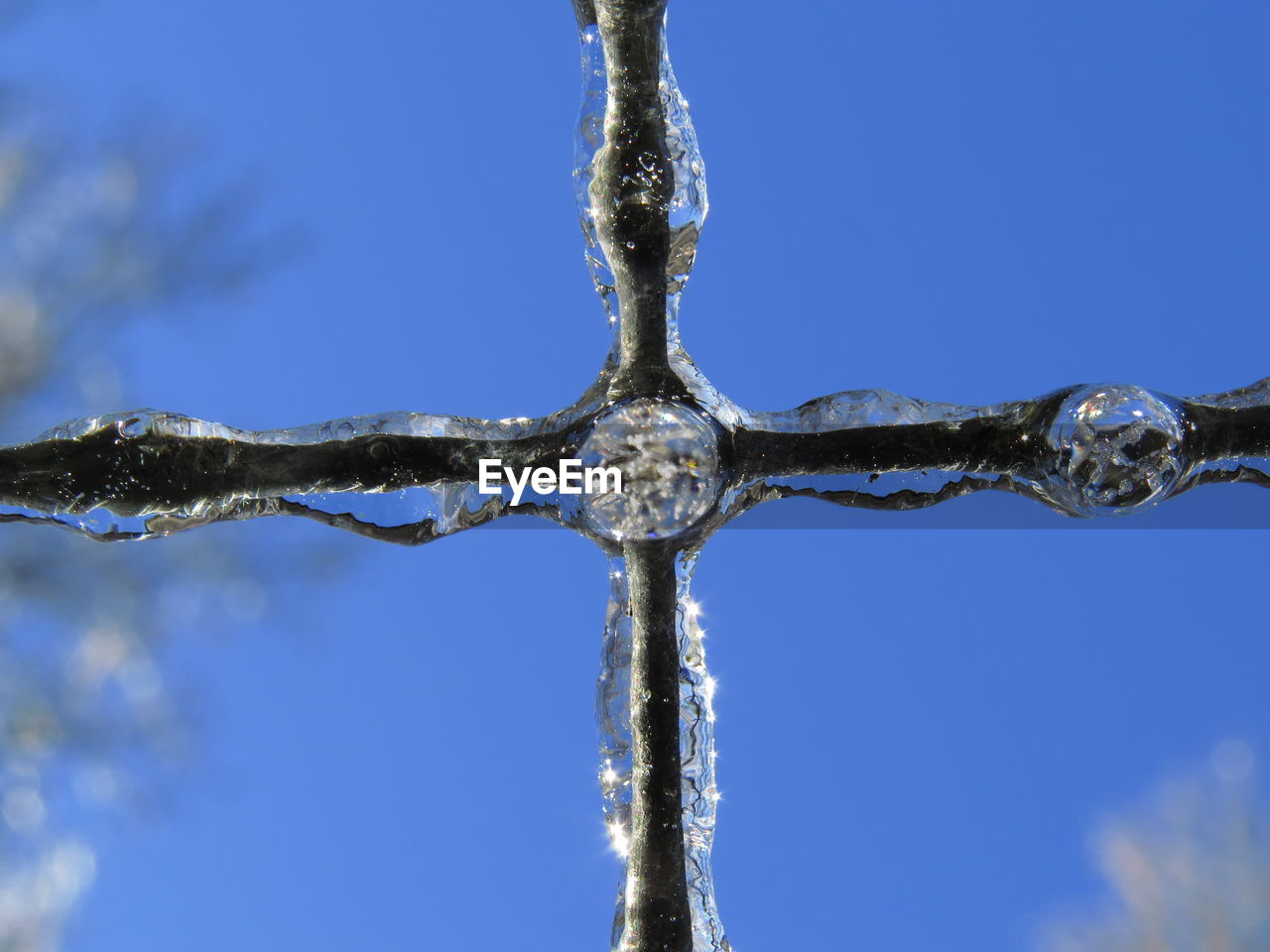 LOW ANGLE VIEW OF FROZEN TREES AGAINST BLUE SKY