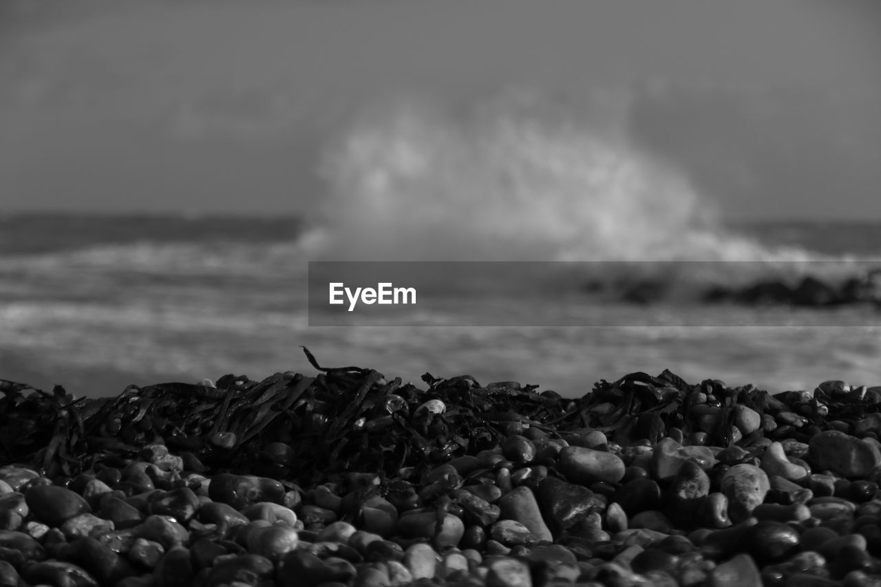 SURFACE LEVEL OF ROCKS ON SHORE