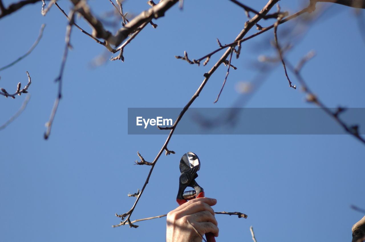 LOW ANGLE VIEW OF MAN AGAINST BLUE SKY